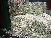 ţ�̺�ֽ�߷�ֽ