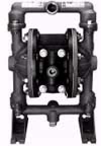 ������Ĥ��